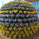 평택시 농업생태원3 이미지