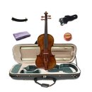 바이올린(중급) 이미지