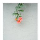 만수2동-22 이미지