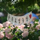피어나공주