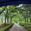 CU 강구대로점 | 240505-240510 그릭요거트, 닭그릭, 비빔밥에 빠진 일상기록