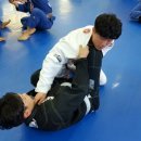 녹양코리아 이미지