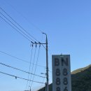 BN888 | 양산 가을여행, 경치좋은 배내골 펜션 BN888 숙소추천 솔직후기