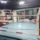 더파이팅복싱짐 이미지