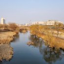 UR(오산시)-[오산로]-하-25 | 초언니 만두전문점 방문기