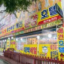 애견취향 이미지