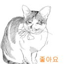 용지출판사
