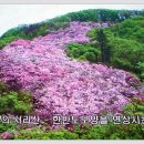 제 5월13일 수요일 축령산~서리산 철쭉동산 이미지