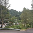 평창자연휴양림 이미지