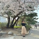 [종로데이트] 강북 삼성병원 학교앞분식, 빠르크 정동점 내돈내산 후기