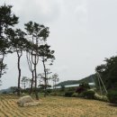 박미경농장 | "귀농, 처음부터 욕심 부리지 마세요"(오마이뉴스)