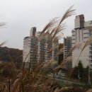 청평교회 앞 이미지