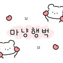 포토이즘박스동성로 이미지