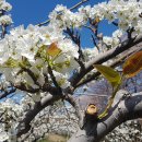 하동마을회관 이미지