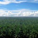 지에스농장 이미지