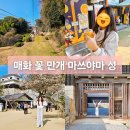 도고온천초등학교 | 마쓰야마 3월 여행 가볼만한 곳 매화꽃이 만개한 마쓰야마성