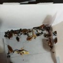 구평본동 이미지