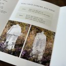 삼포실버드림 이미지