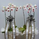 (주)대성카렌다