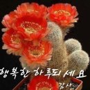 -삶은 소풍(逍風)이다- 이미지