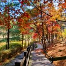 봉학골산림욕장 이미지