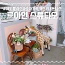 르아인스튜디오 이미지
