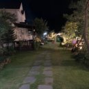 마이웨이 비발디 관광펜션 이미지