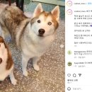 호두마루의 간식공장 이미지