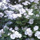 동혜농장 이미지