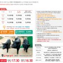 문구야놀자동부 | [제주도여행] 제주여행 2일차 성산 모영/휴애리자연생활공원/위미리카페 창고96