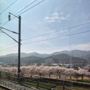 소호목장1 | 여수 통영 1박 2일 문화 역량 강화 워크숍(GS칼텍스 예울마루, 윤이상 기념관, 전혁림 미술관, 봄날의...