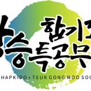 SSMA 상승합기도 특공무술 이미지