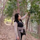 진해만 생태숲 학습관 이미지