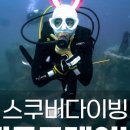 잠실스킨스쿠버다이빙 | 서울 잠실 스킨 스쿠버다이빙 교육 후기 트림자세 및 백워드 핀킥 강습 받고 왔어요~