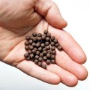 늘푸른농장 1 이미지