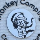 몽키캠핑장 이미지
