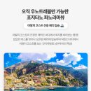 우노투어
