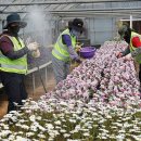 백양산 양묘장 이미지