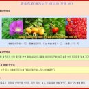 【내일의향기 한방처방酒】海棠花酒(해당화주:해당화 열매 술) 이미지