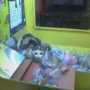 인형뽑기 이미지