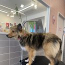 티몬이네 목욕탕 이미지