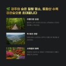 🌿 경주 토함산 수목경관숲 – 사계절 힐링 산책 명소