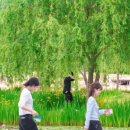 푸름체험여행 이미지