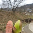 원순농장 이미지