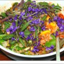 제비꽃 비빔밥 이미지