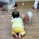 꼬꼬마어린이집 | [성서 홈플러스 문화센터] 8개월 아기 꼬꼬마놀이터 수강 후기