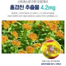 활력이 필요한 날, 보령약국 판티오 이뮨 비타 올케어
