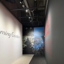 오늘과다른내일 | 7월 전시회 추천 그라운드시소 이스트 오늘의 정원, 내일의낙원 내돈내산 후기