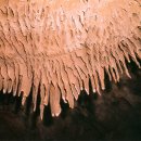 삼척초등학교 이미지