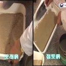 토성의 구분방법 이미지